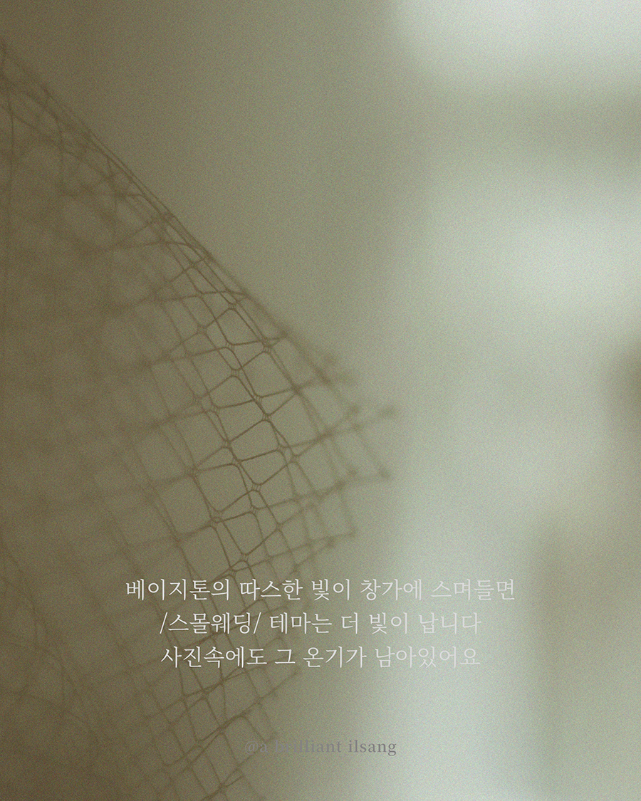 lily 복사 리.jpg