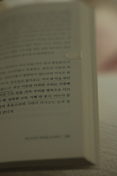 407A6656-Evoto 복사 리.jpg