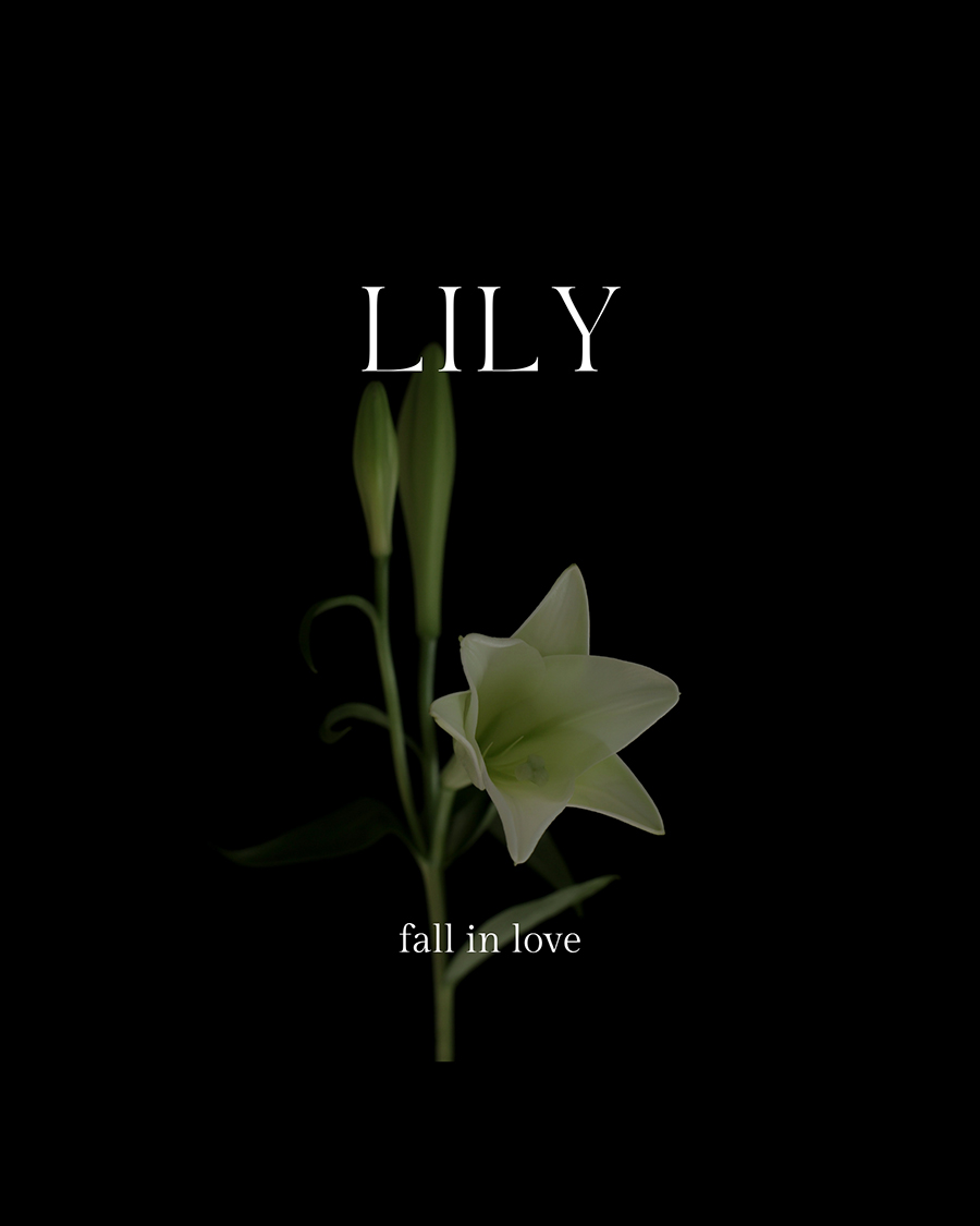 lily 복사 리.jpg