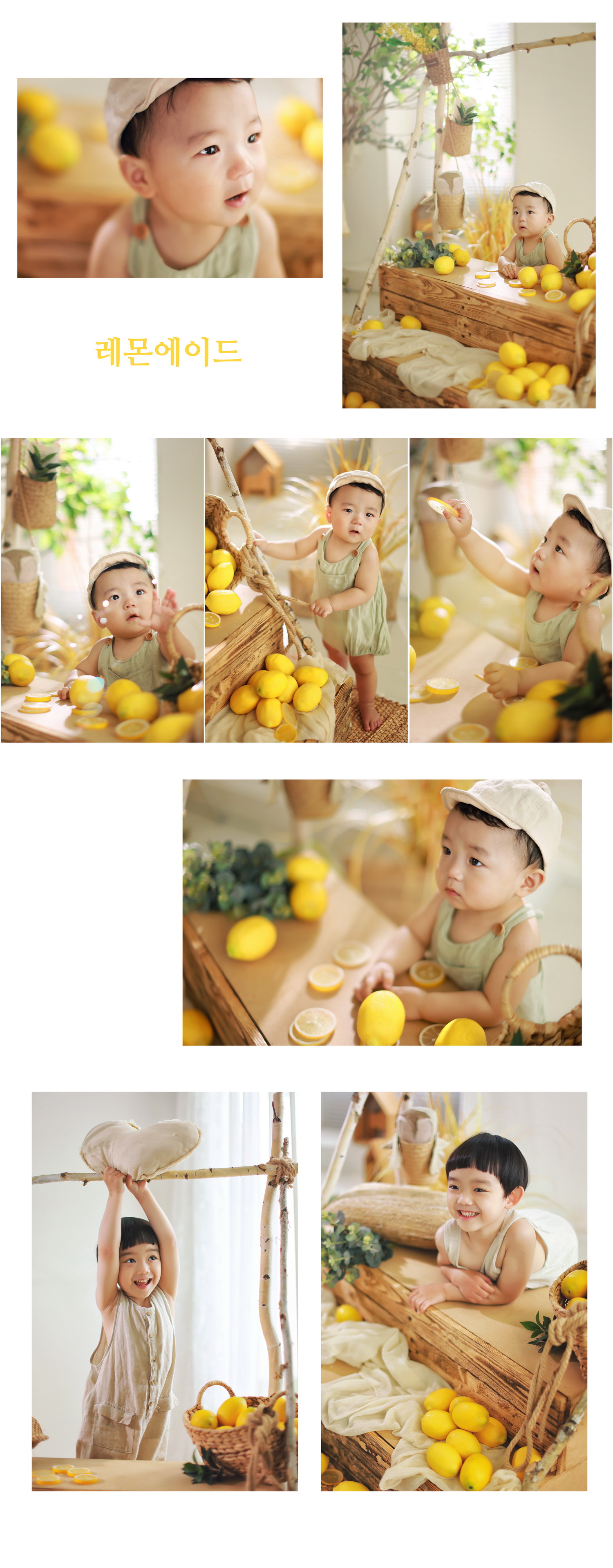 레몬 (2)_크기 조정.jpg