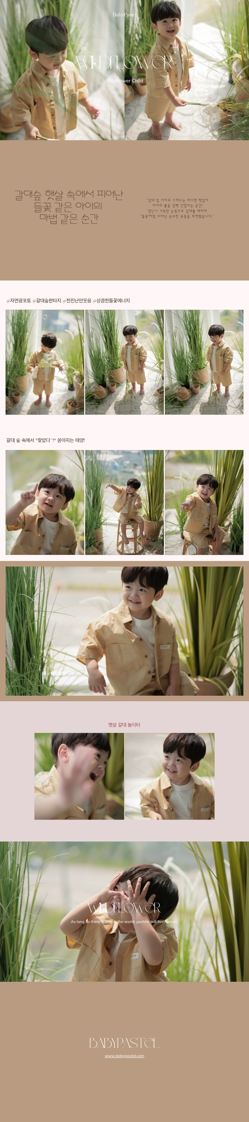와일드플라워 (2).jpg