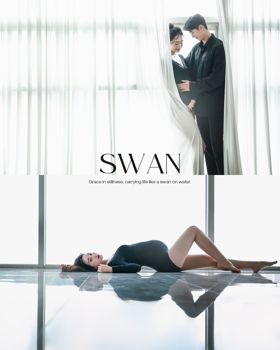 19. 스완_2_1 copy.jpg