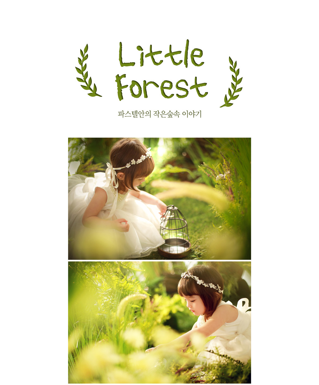 완-Little Forest1.jpg